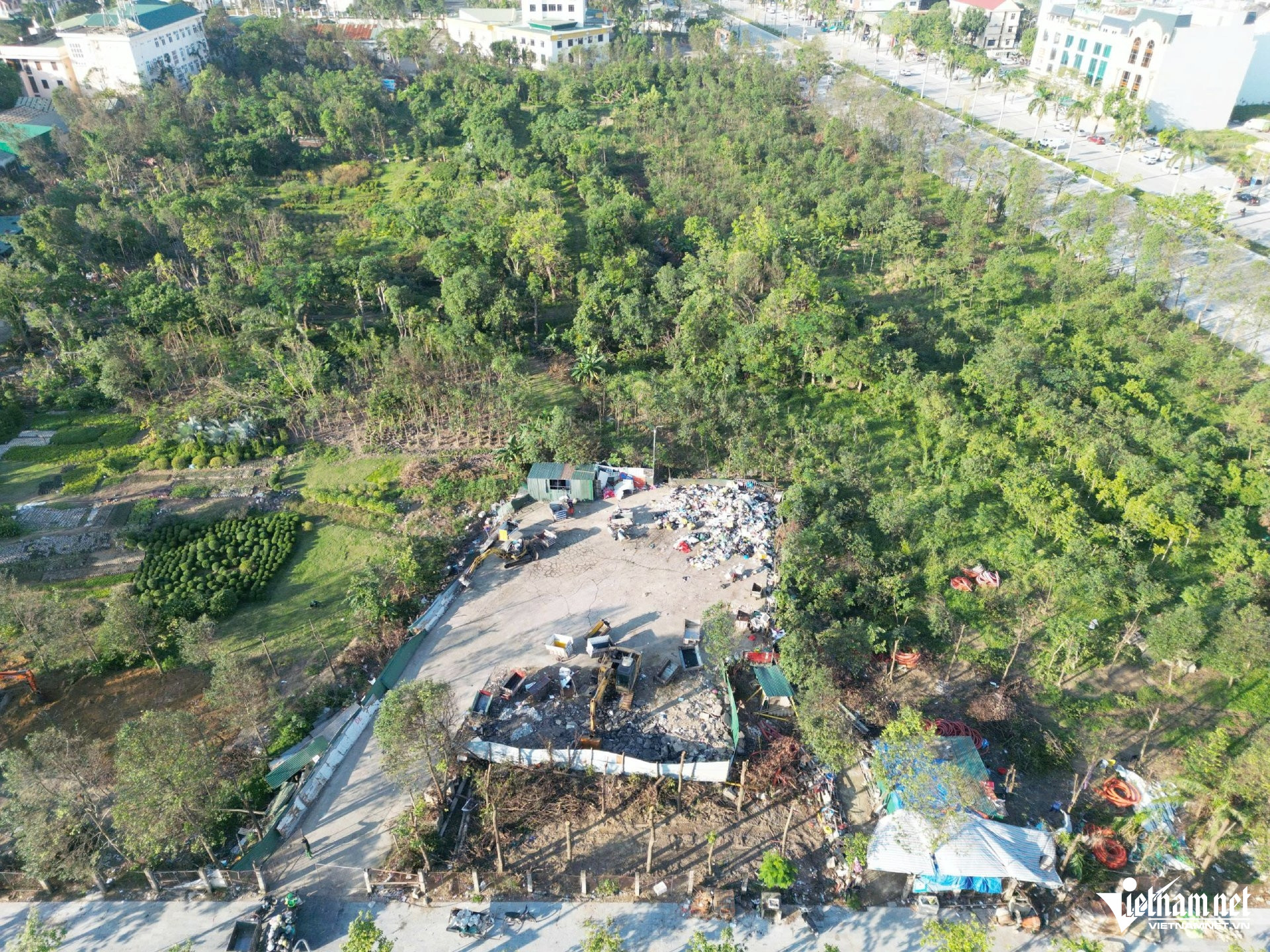 W-a đất vàng4.jpg