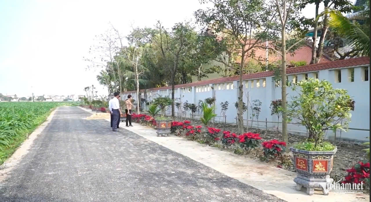 W-anh bai thuan loi.jpg