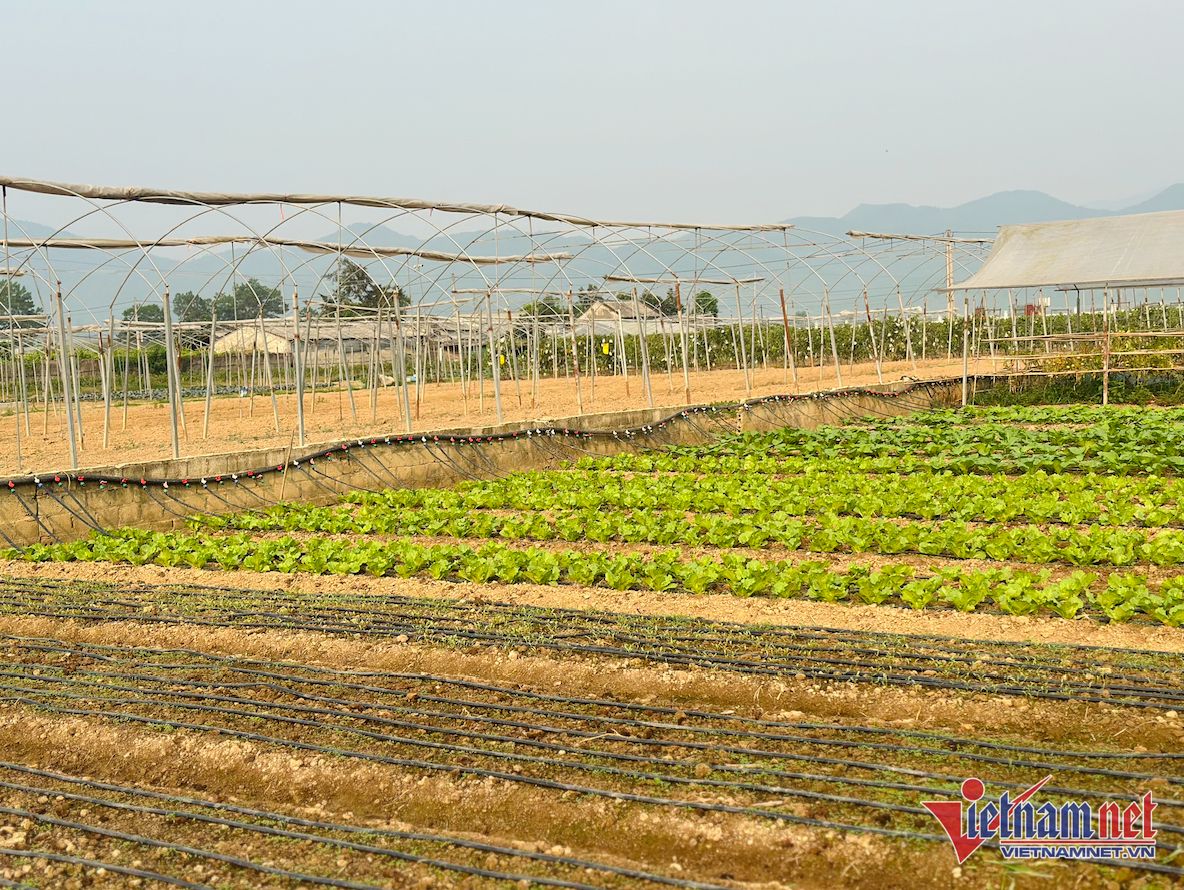 W-Điện Biên 2.png