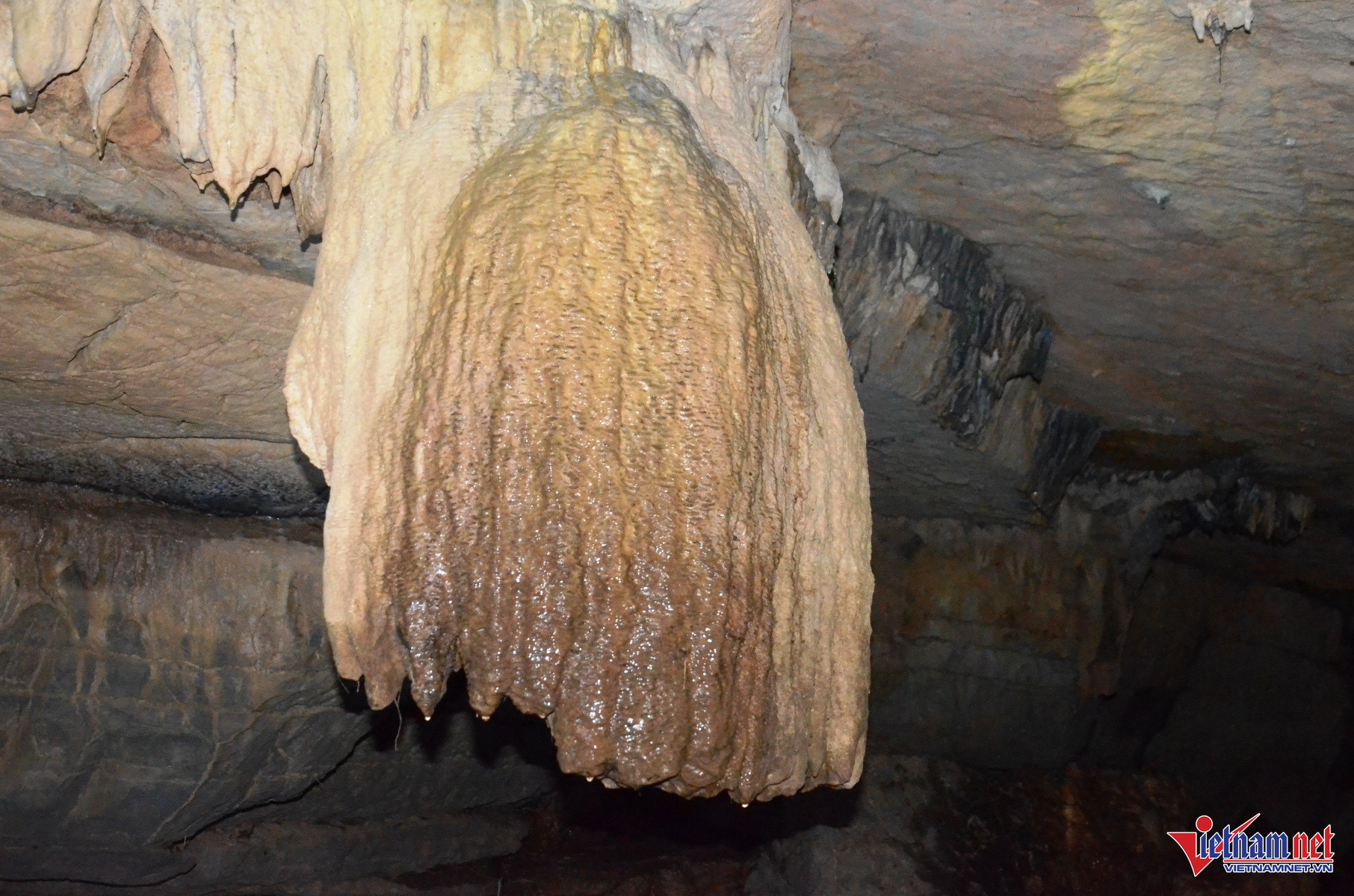 W-Hang Bụt 2.JPG.jpg