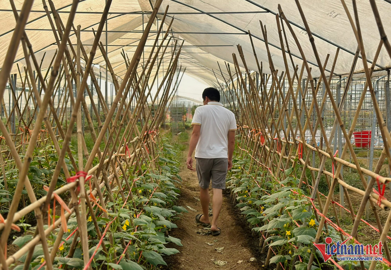 W-Phú thọ NTM.png