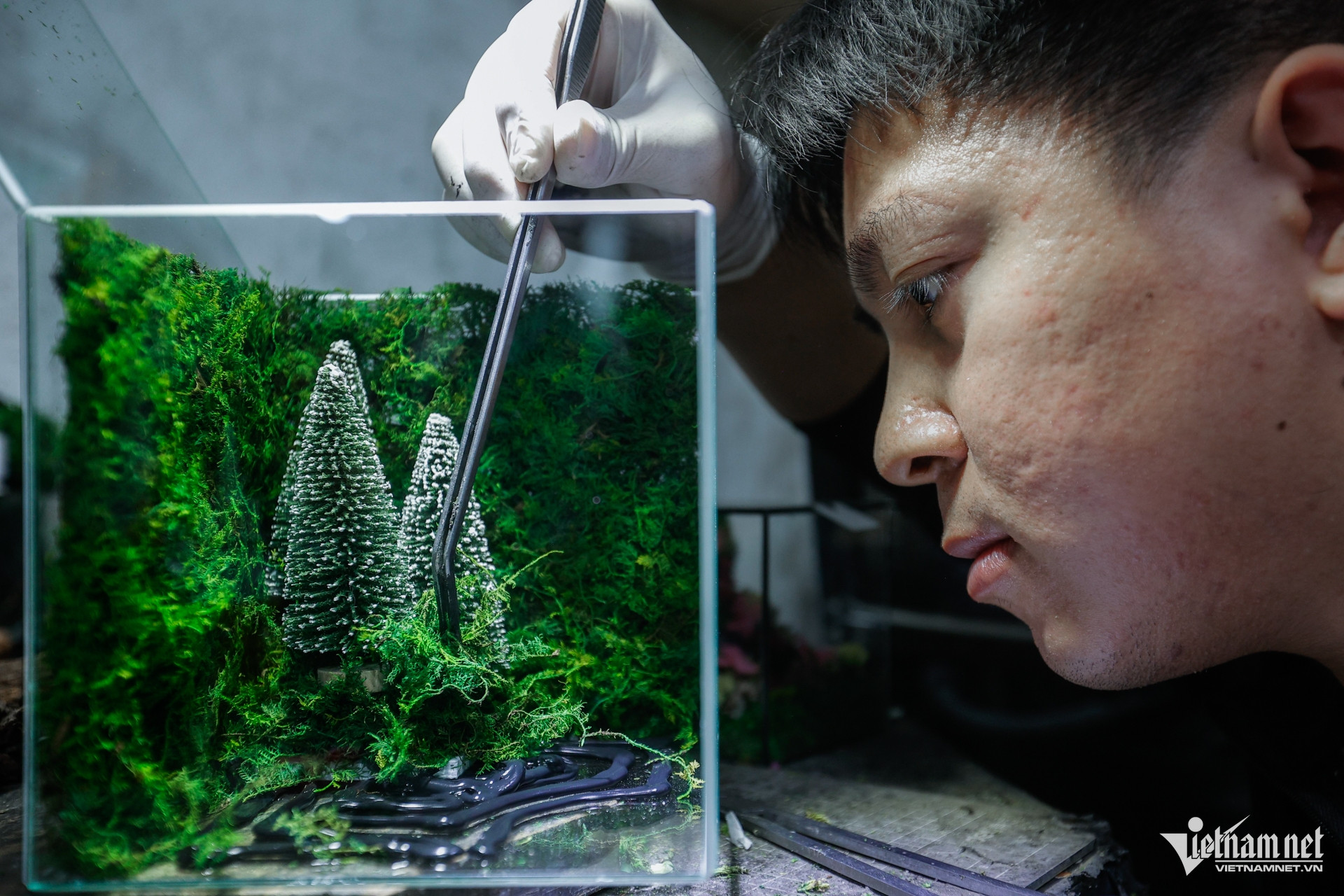 W-qua giang sinh.jpg