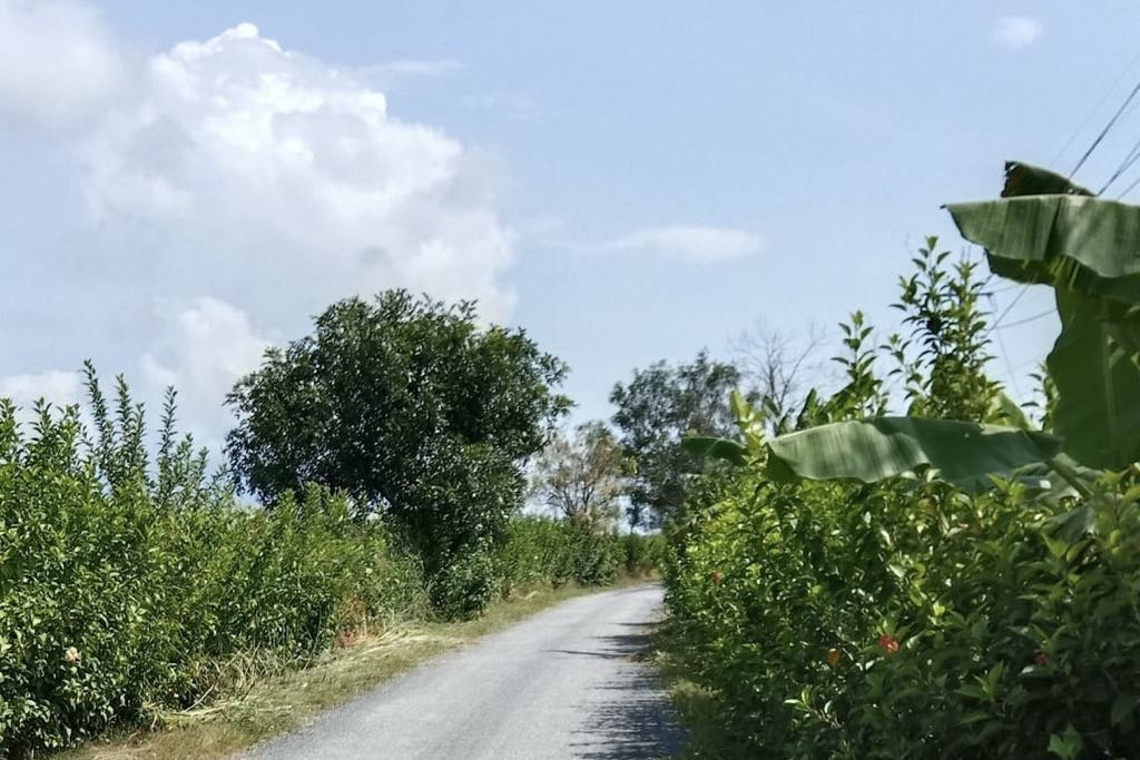 Ngọc Hiển - Cà Mau: Đề xuất giải pháp đẩy nhanh tiến độ xây dựng nông thôn mới