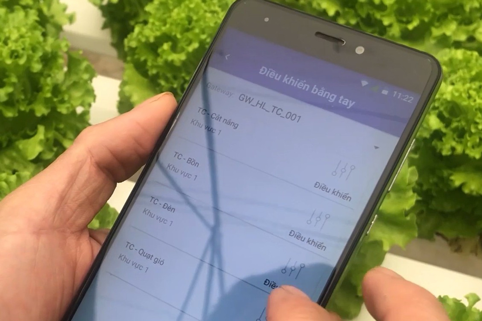 Ứng dụng công nghệ AI trong quản lý canh tác, phòng trừ sâu bệnh hại cây trồng