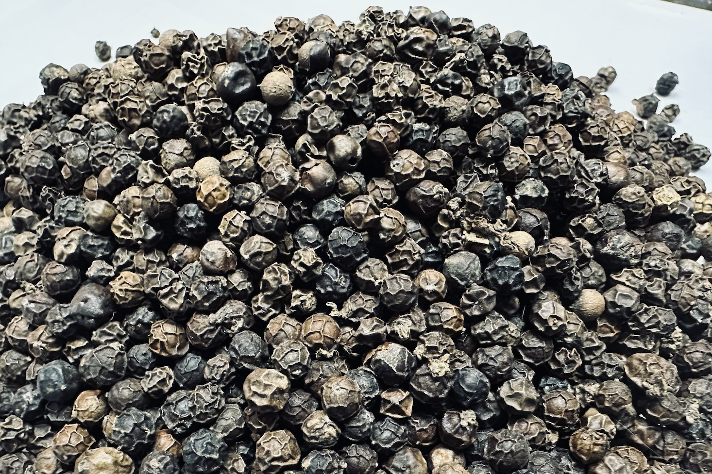 Việt Nam bán hơn 223.200 tấn ‘vàng đen’, tiền thu về cao kỷ lục