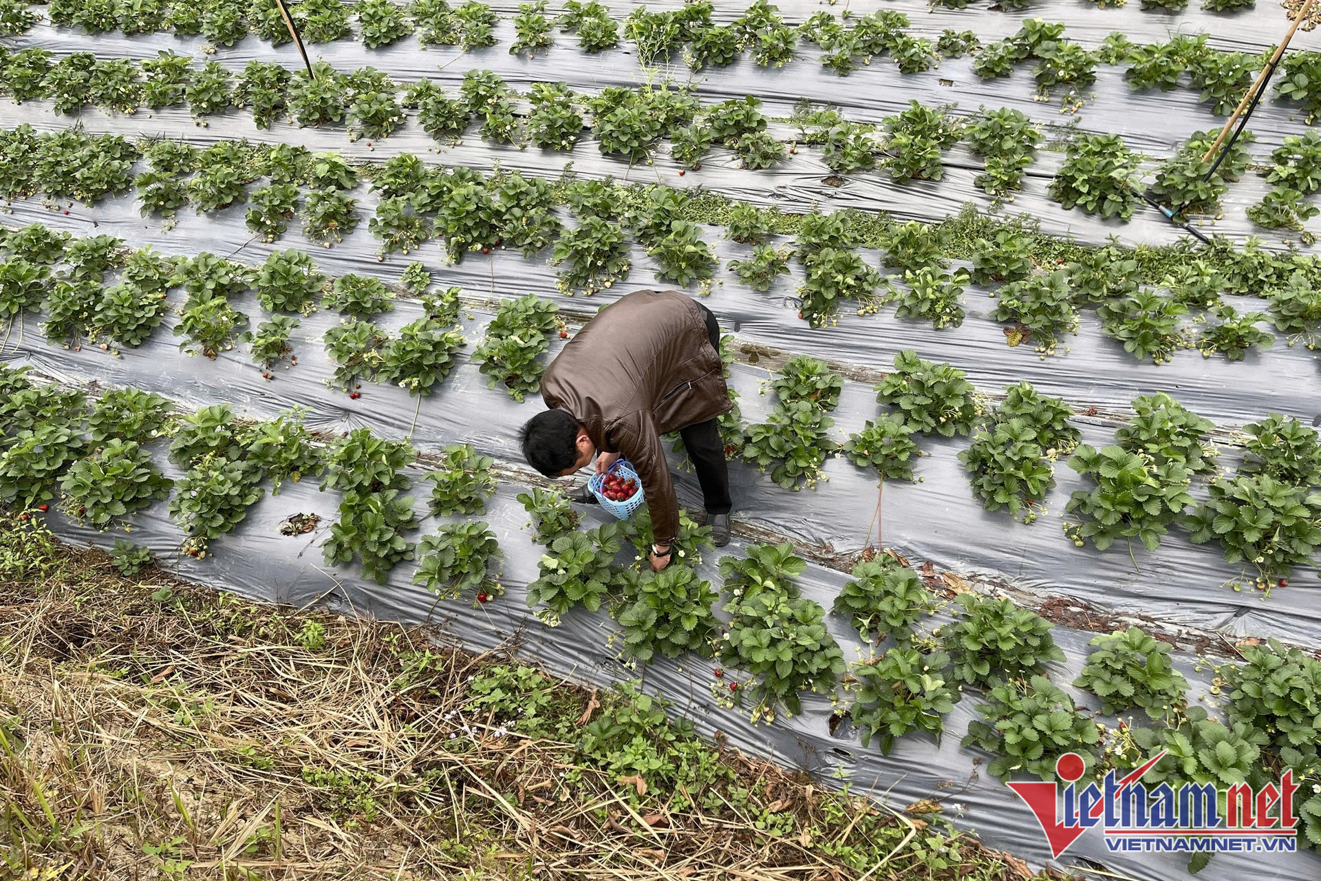 W-chuyen doi so nong nghiep 3 1.jpg