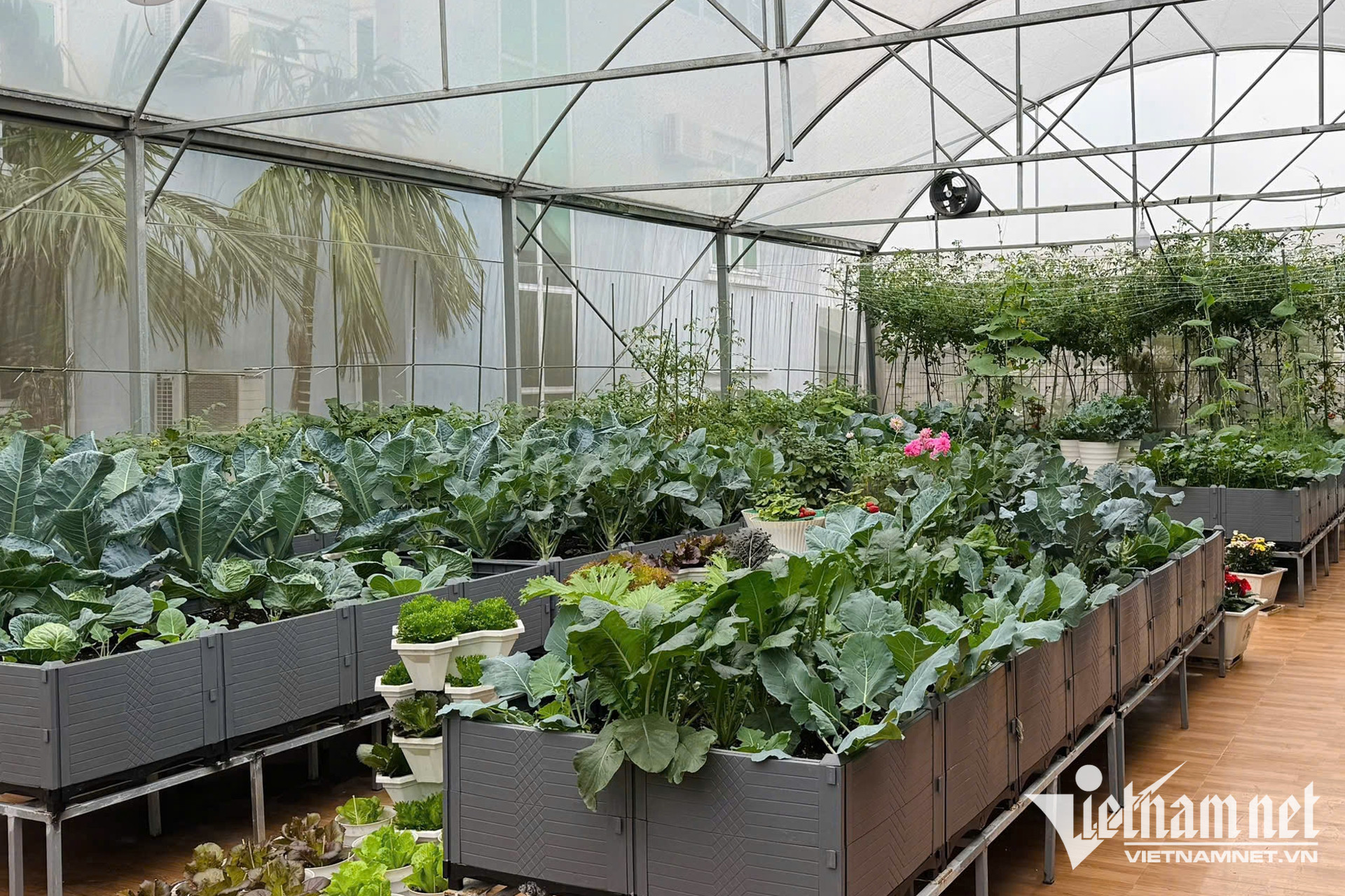 W-nong nghiep cong nghe cao 1.jpg