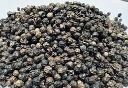 xuat khau hat tieu.png