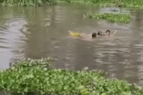 2 người đàn ông ở TPHCM lao xuống kênh cứu người phụ nữ định tự tử