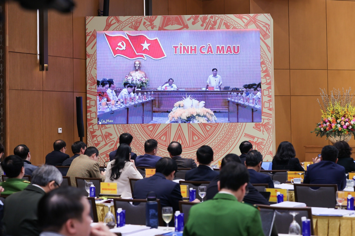 dai dien ca mau 1.jpg