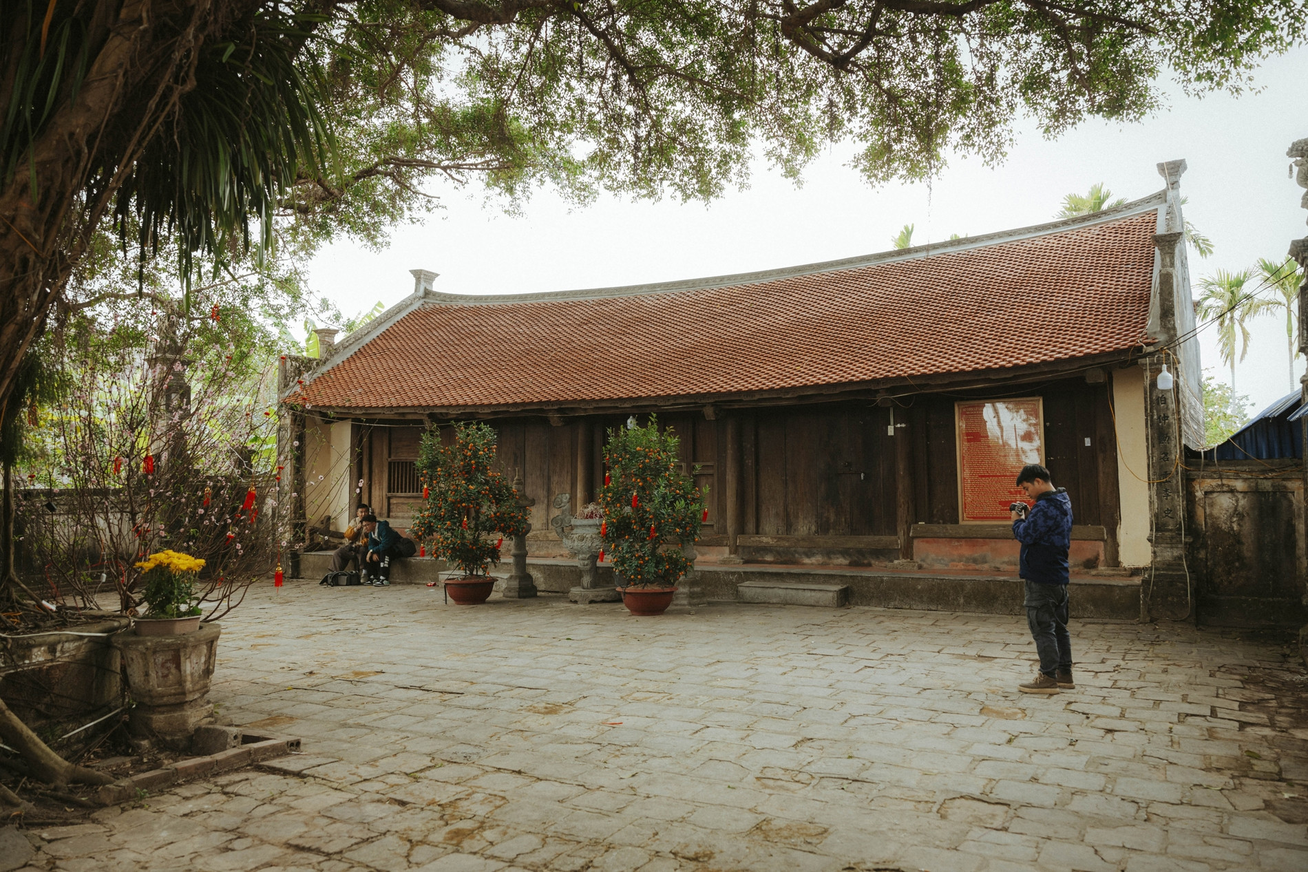 Ngôi đền cổ cách Hà Nội 70km, có 'báu vật xanh' trăm tuổi thu hút du khách