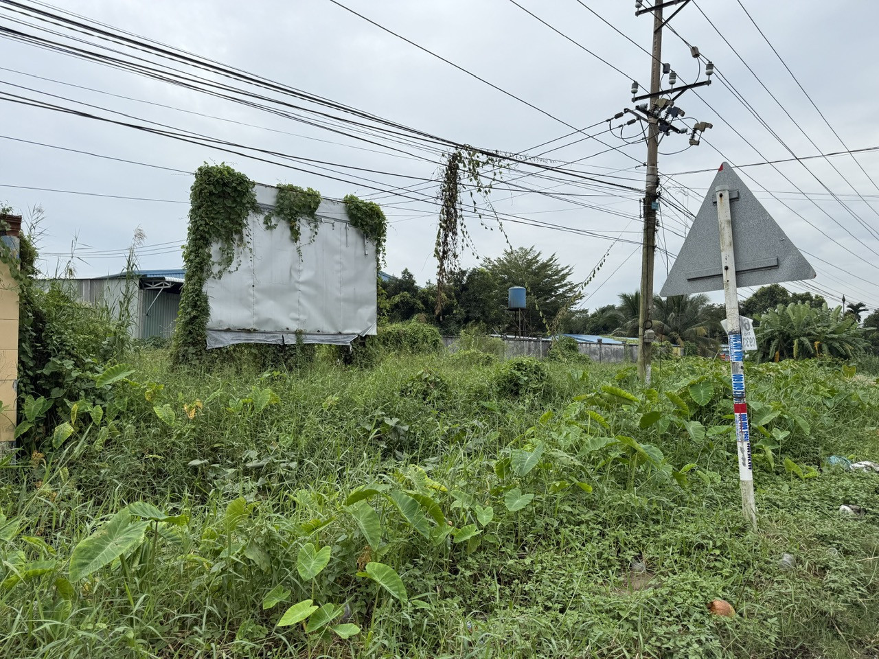 KCN Huu Thanh Long An 2.jpg