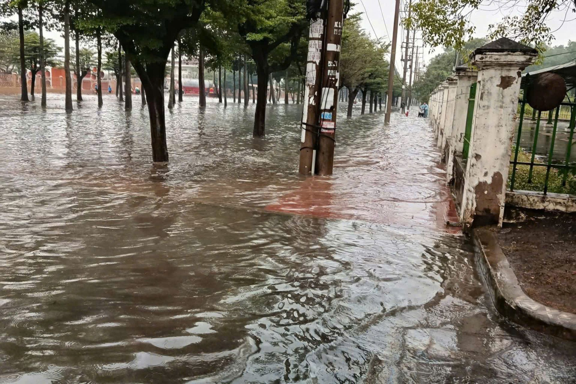 ngap dong nai3.jpg