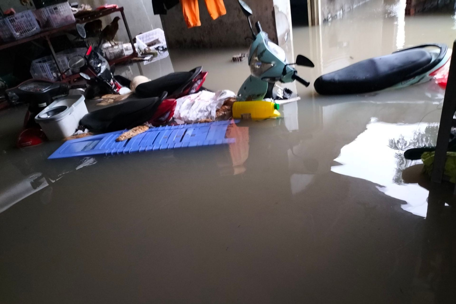ngap dong nai4.jpg