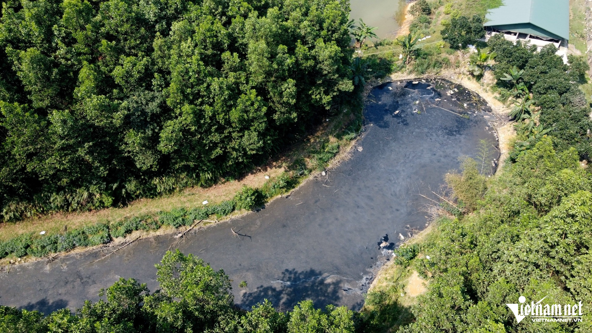 W-a2Trang trại lợn xả thải trực tiếp.JPG.jpg