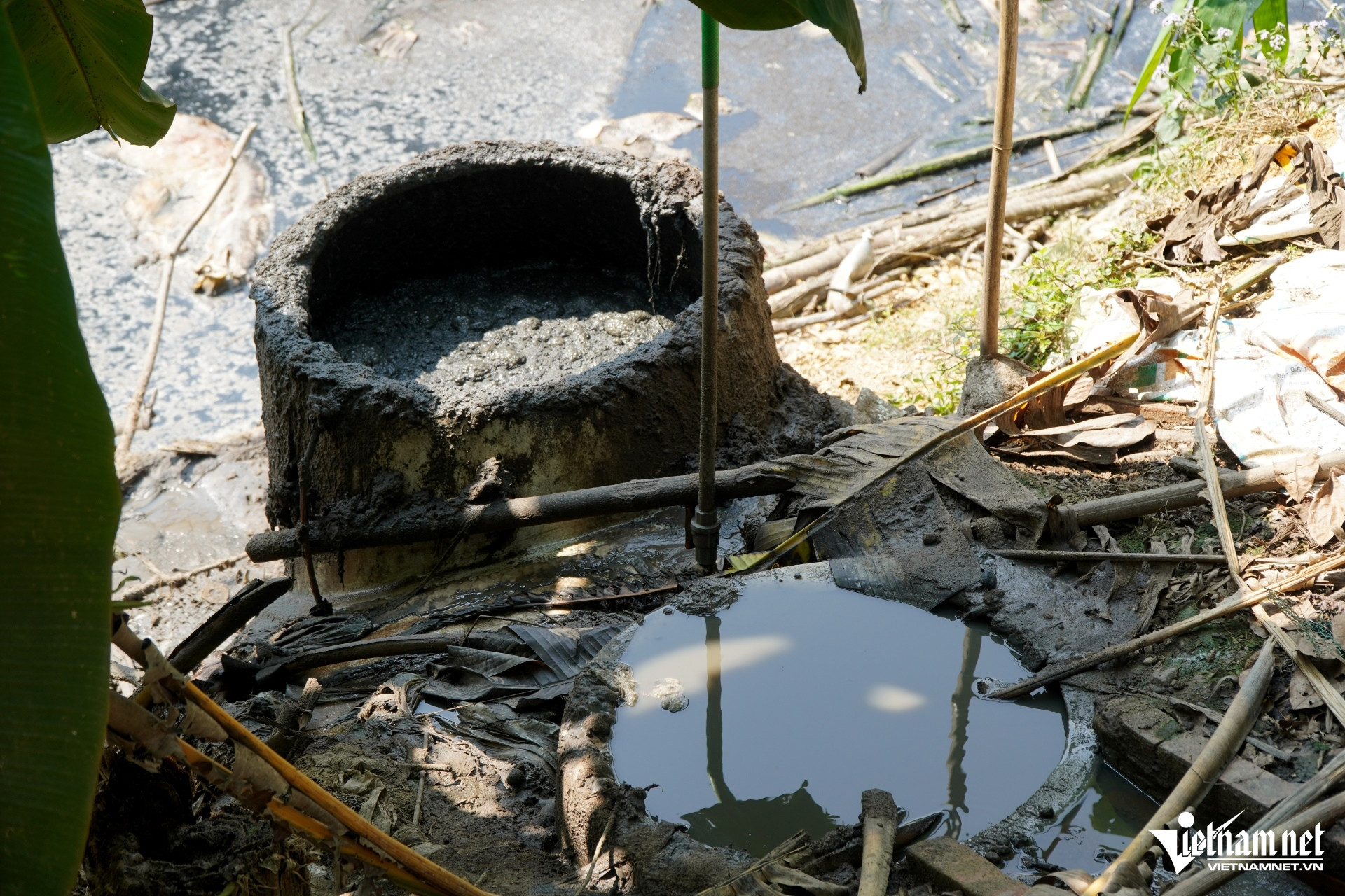 W-a7Trang trại lợn xả thải trực tiếp.JPG.jpg