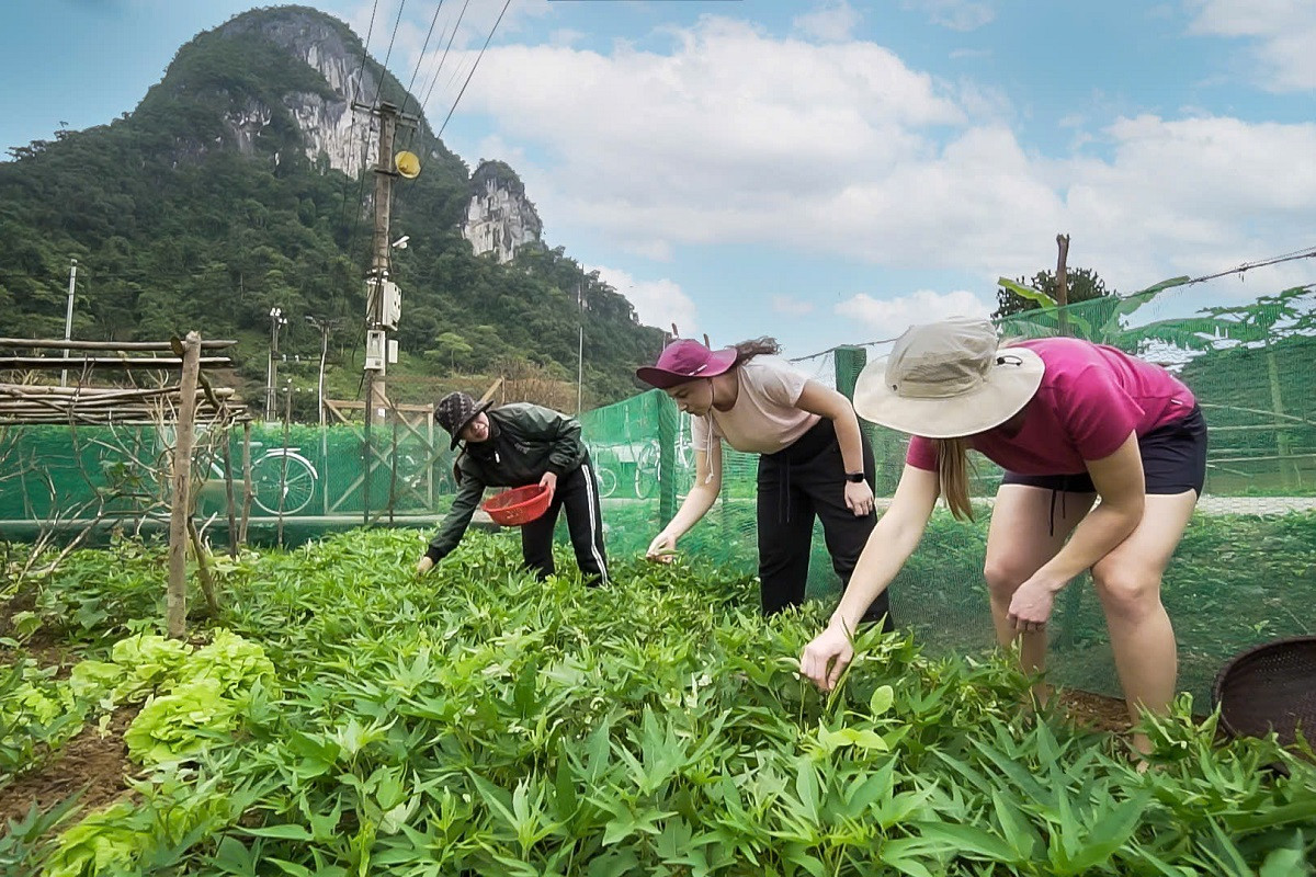 Ngôi làng vùng rốn lũ chuyển mình ngoạn mục nhờ khai thác du lịch hiệu quả anh g.jpg