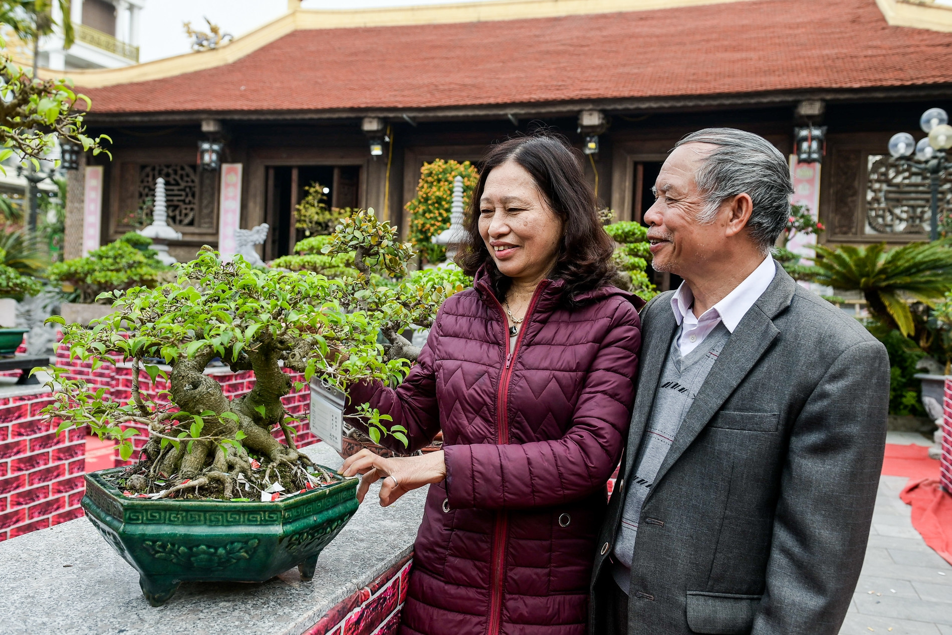 Người đàn ông ở Nam Định hơn 10 năm tạo ‘cây nịnh vợ’, giá nào cũng không bán