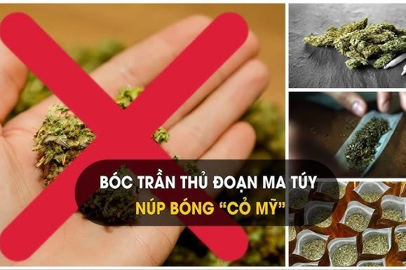 2 học sinh ở Thanh Hóa bị khởi tố vì mua bán, sử dụng 'cỏ Mỹ'