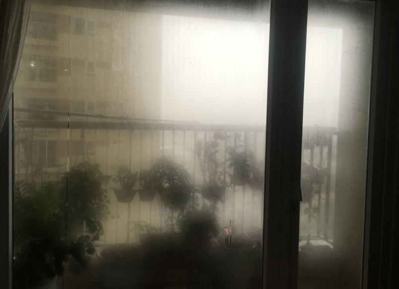 dan chung cu ha noi meo mat than van kho so vi troi nom 4.png