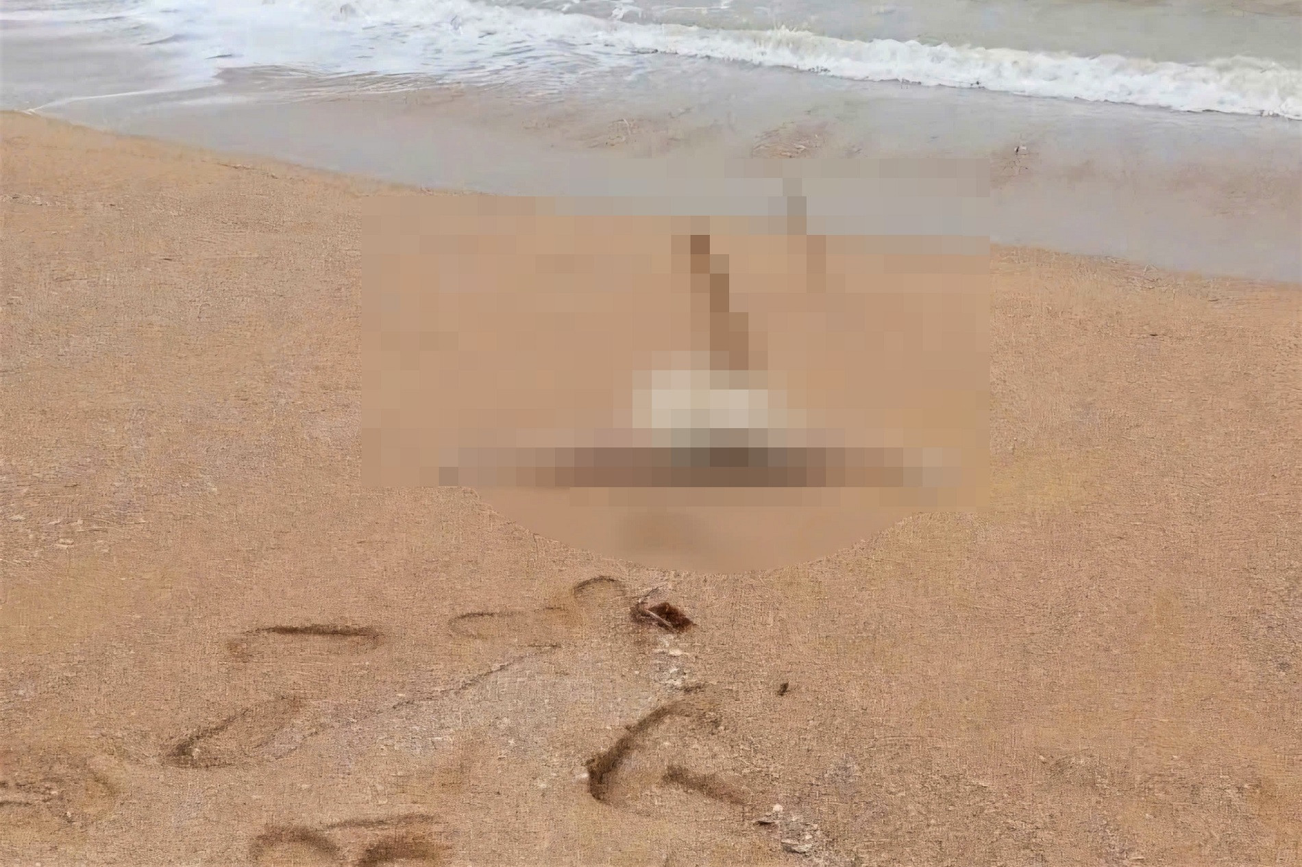 aadd djdjđ d 11111.jpg