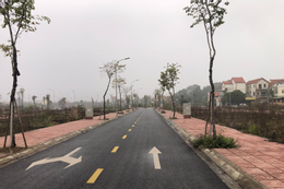 Đổ chục tỷ vào đất vùng ven Hà Nội: Đất đấu giá treo cao, đất trong dân lao dốc