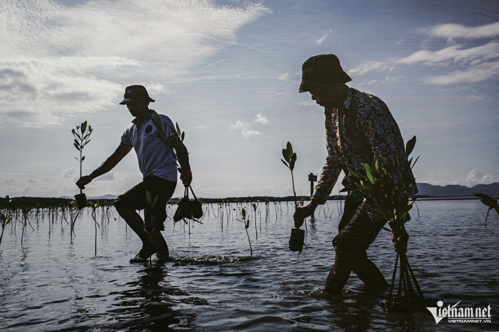 W-triển lãm   nguyễn huế 18.jpg