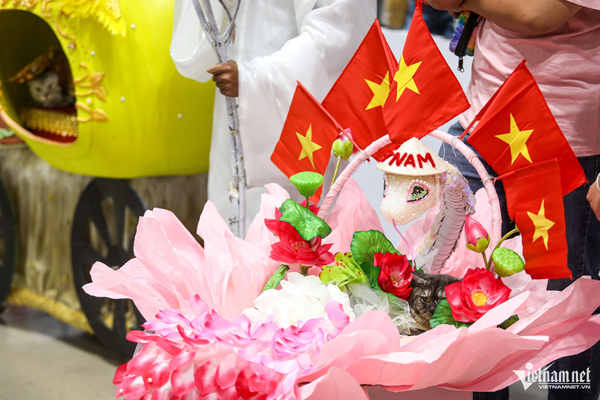 W-thú cưng, TPHCM.jpg