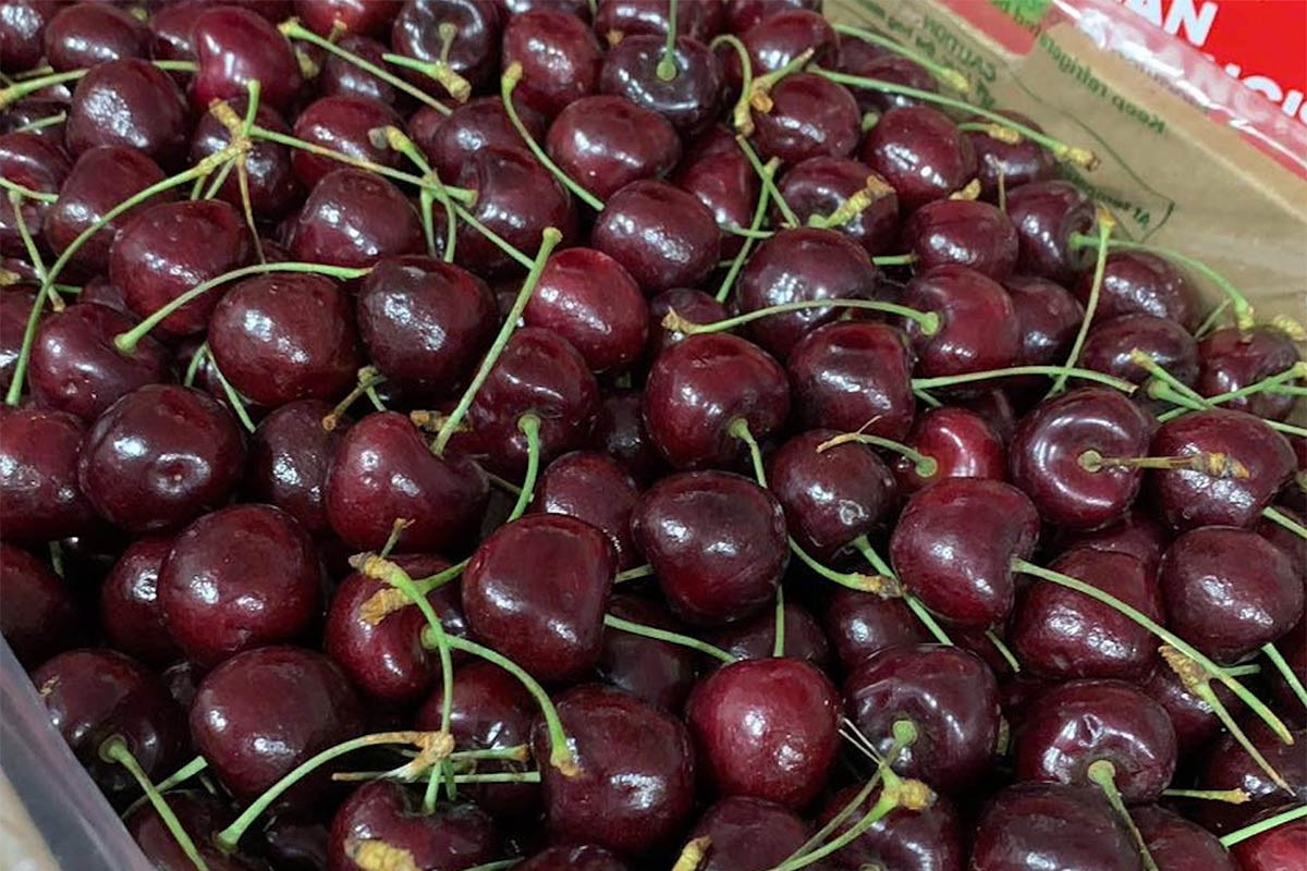 Sự thật cherry Chile chỉ 100.000 đồng/kg, ‘siêu thực phẩm’ ở Việt Nam giá rẻ bèo