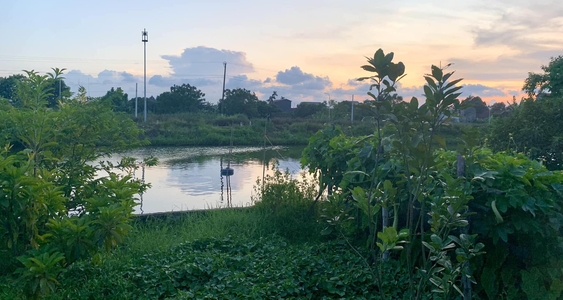 Lưu ý quan trọng khi làm lại sổ đỏ cho thửa đất có ao, vườn, đất thổ cư