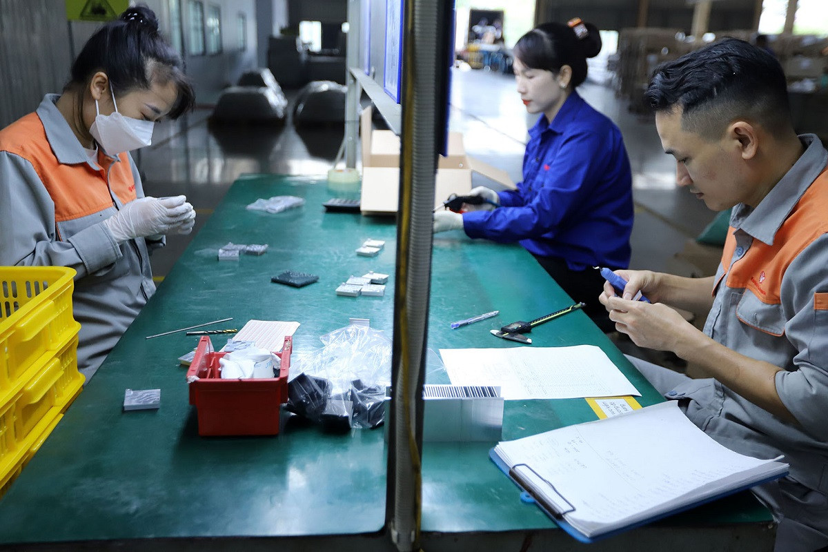 Minh hoa san xuat Hoang ha.jpg