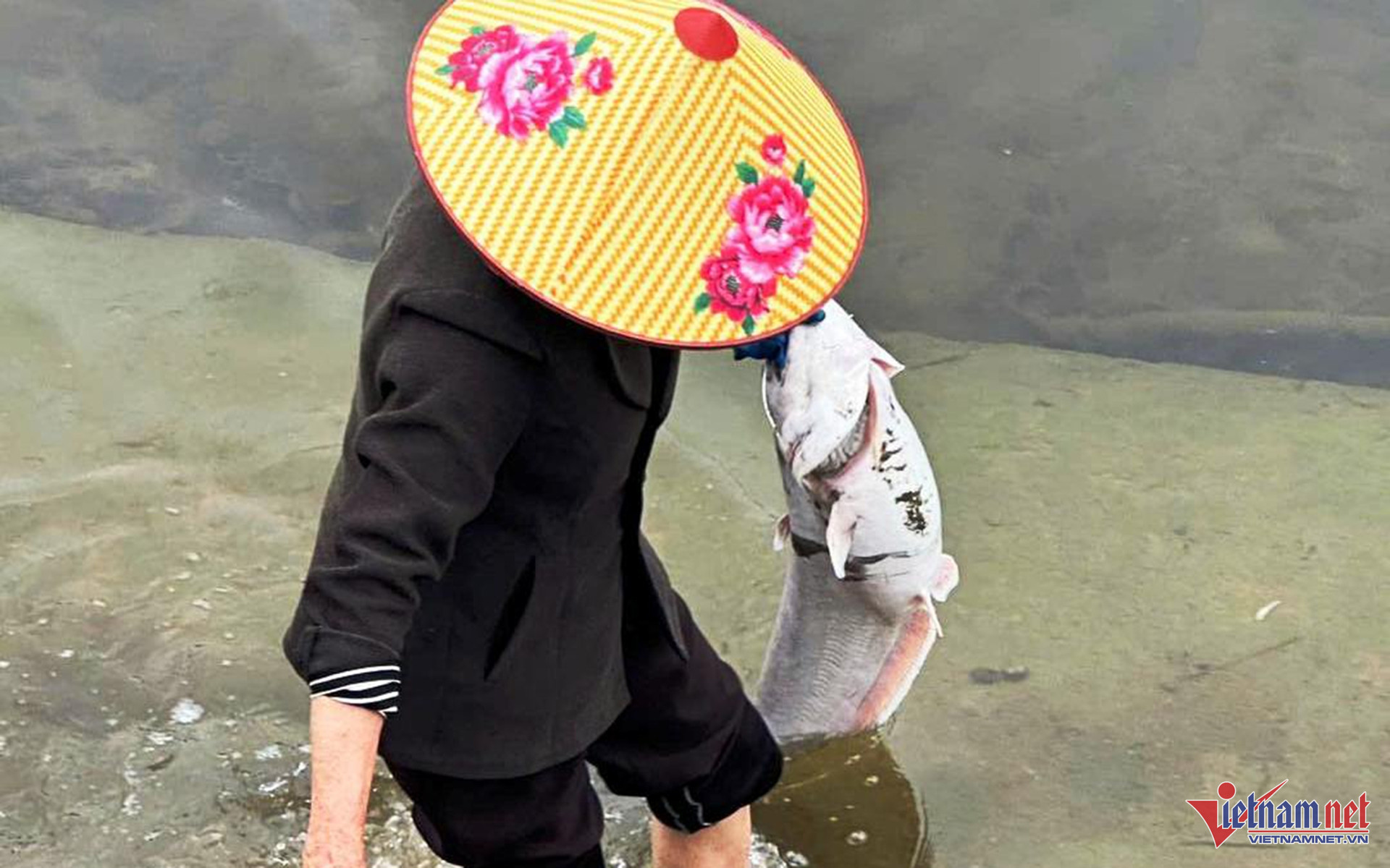 W-7.Ảnh. NGười dân cung cấp.jpg