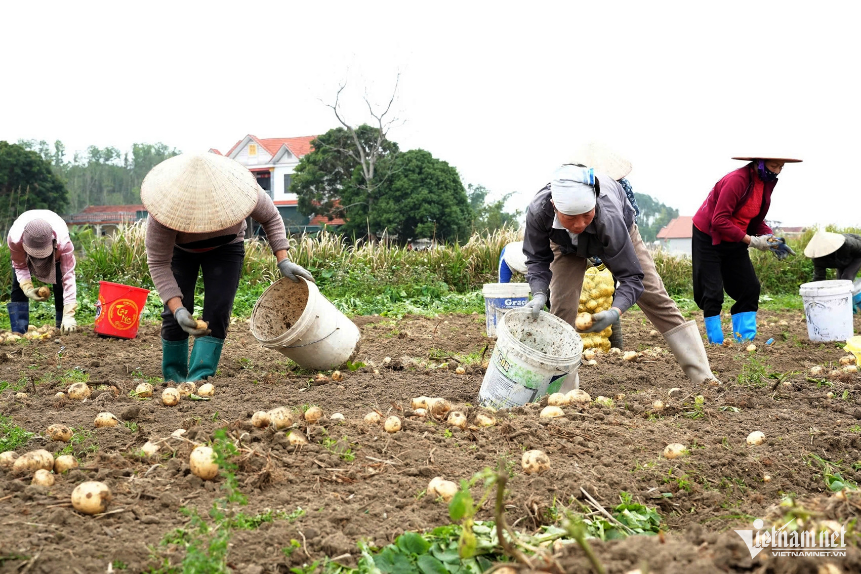 W-8473d8e7 13b6 4e11 993b 5c52e638c37a.jpeg