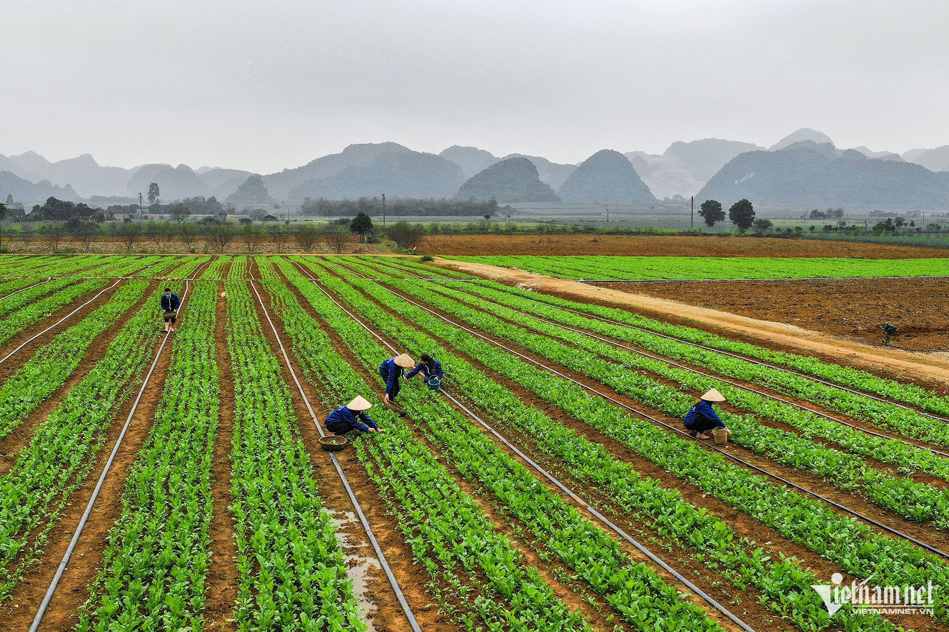 w hai dua 5 81623.jpg