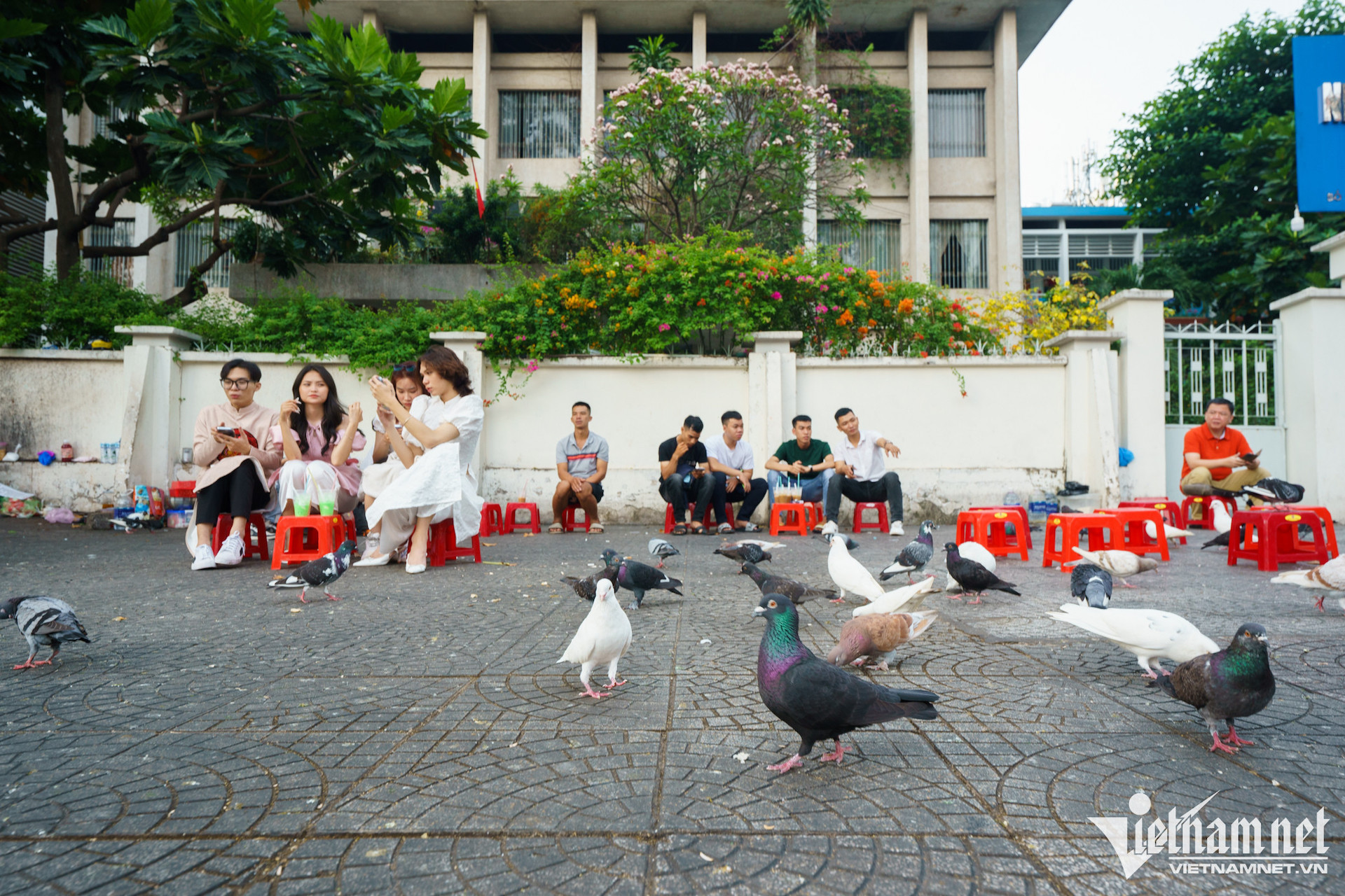 duong sa dau namuntitled 7 349.jpg