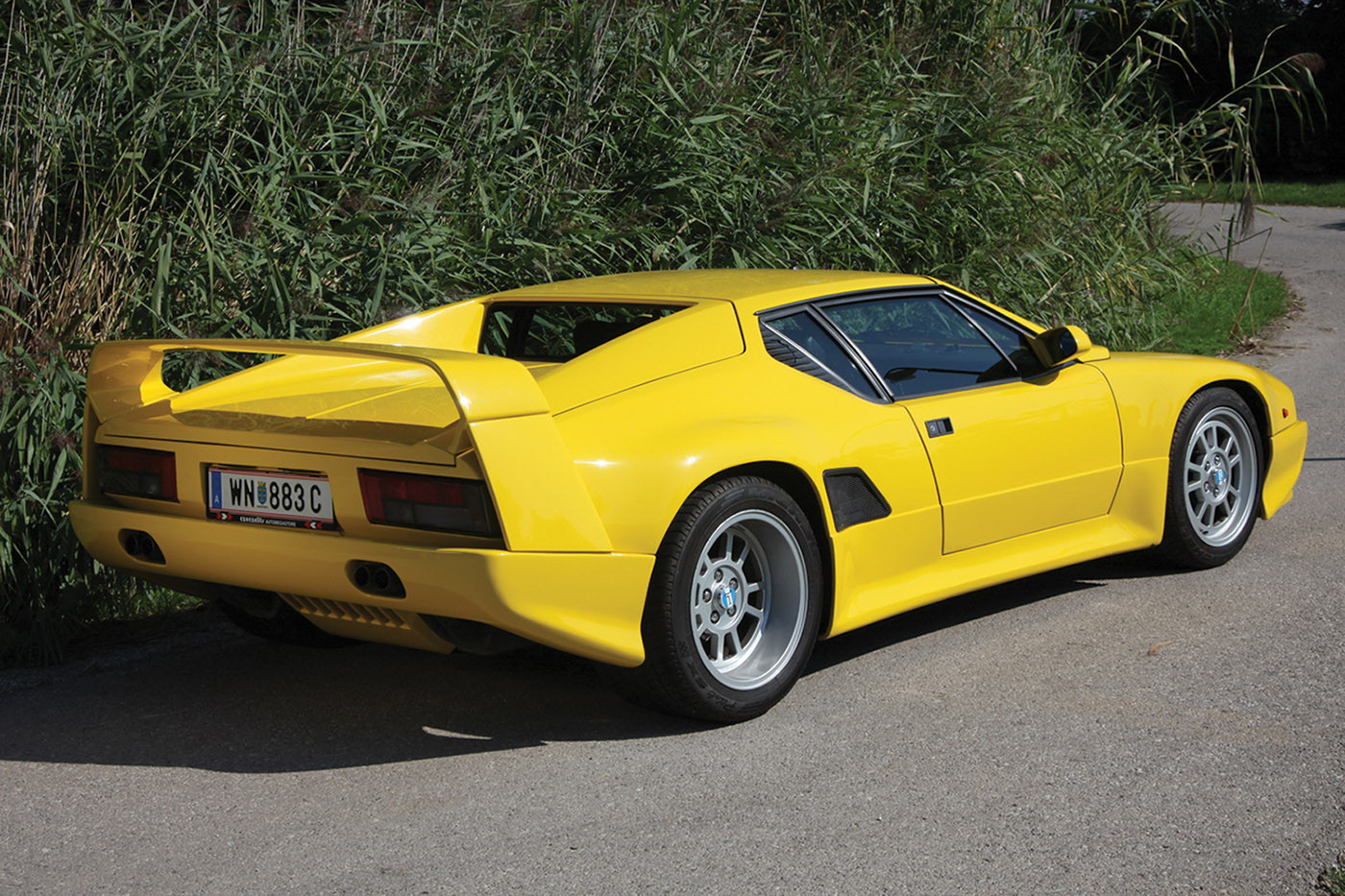 Pantera+SI+Yellow+Rear+web.jpg