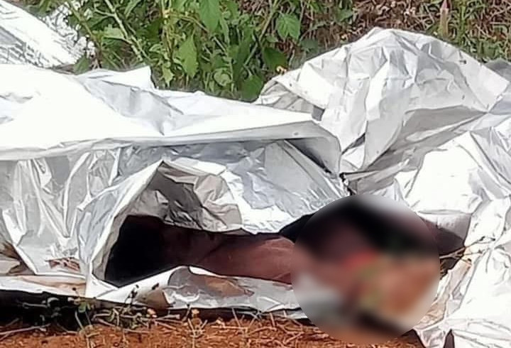 Vụ thi thể người phụ nữ cháy đen trong lô cao su ở Đồng Nai: Nghi do tự tử