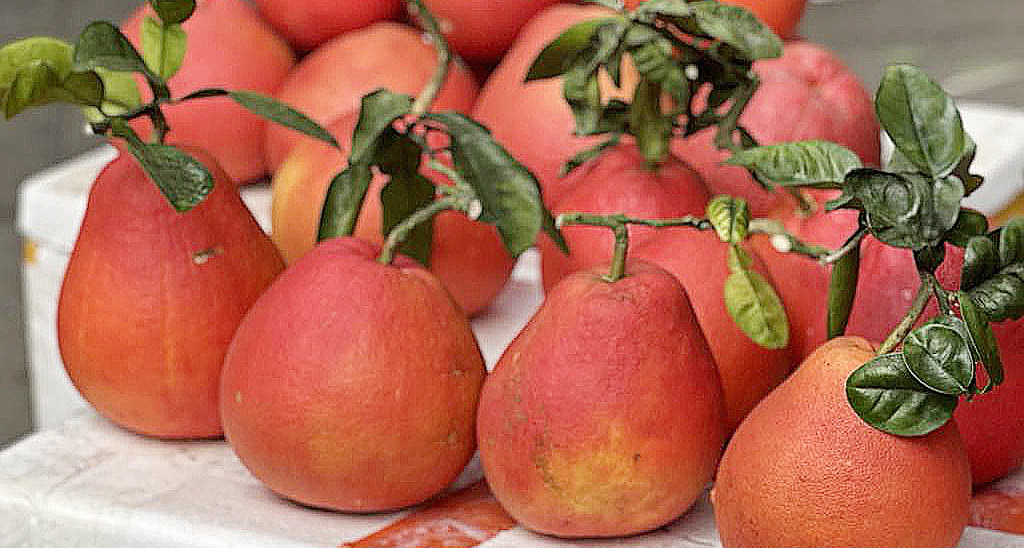 5 không khi ăn bưởi