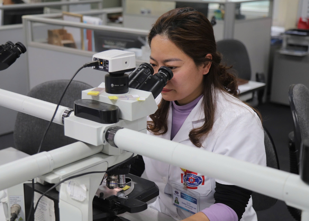 giai phau bẹnh 234.png