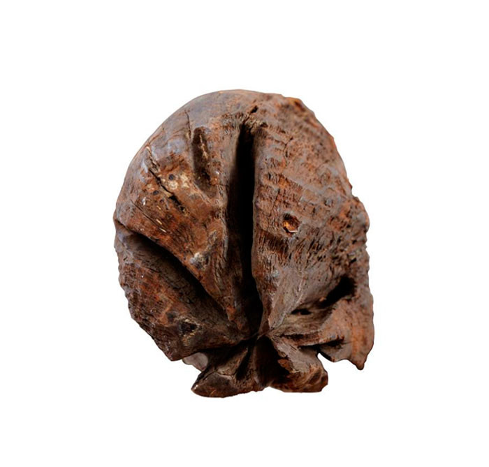 mocbai1.jpg