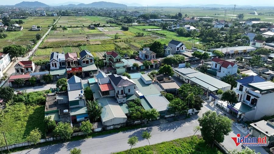minhhoa.jpg