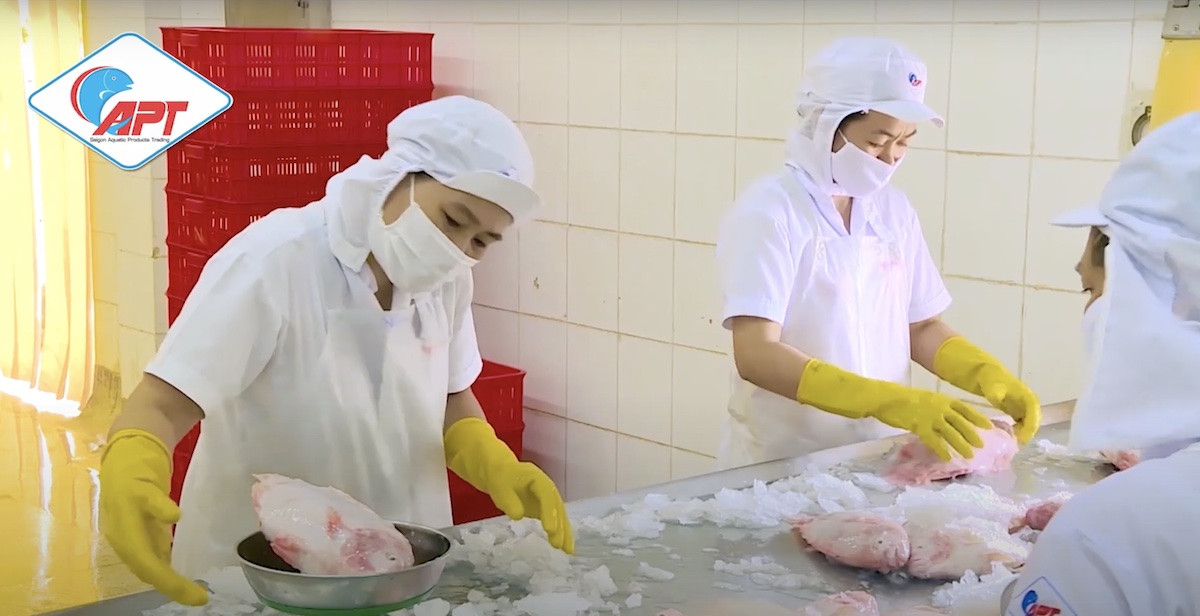 Vay 5.833 lượng vàng SJC từ giá 17 triệu đồng/lượng, nay DN mất khả năng trả nợ 1 thuỷ hải sản sg.jpg