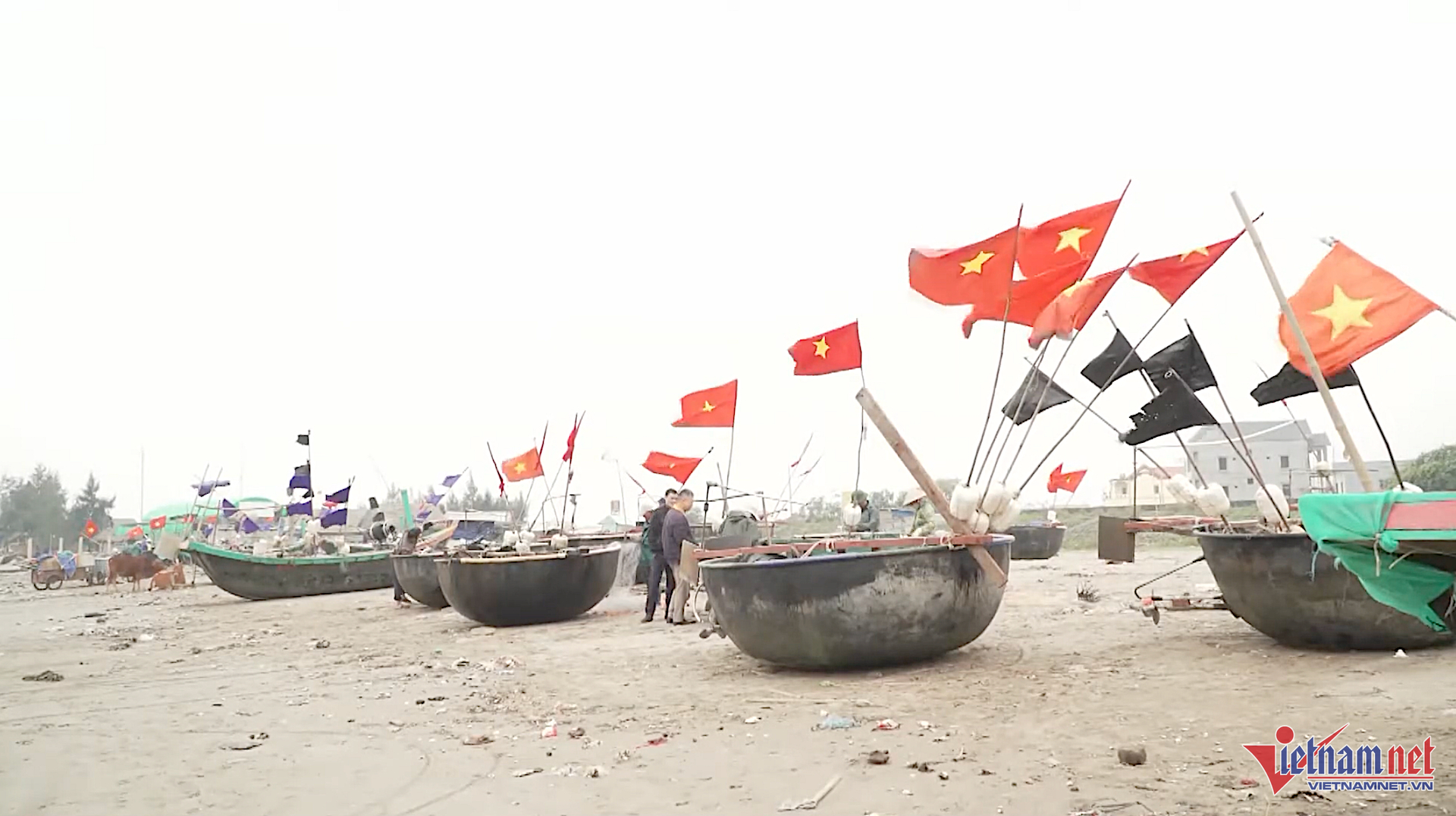 W-minhhoa.png