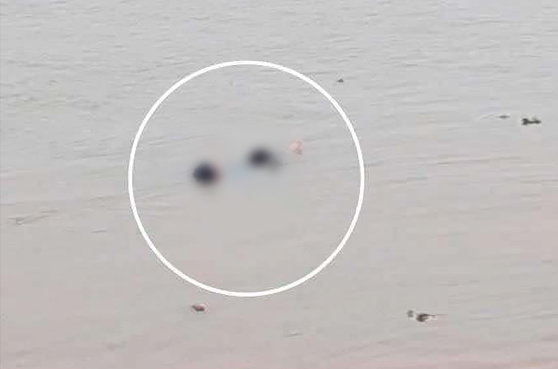 ba97b457 68c4 4a73 ab16 dc2188cb9314.jpg