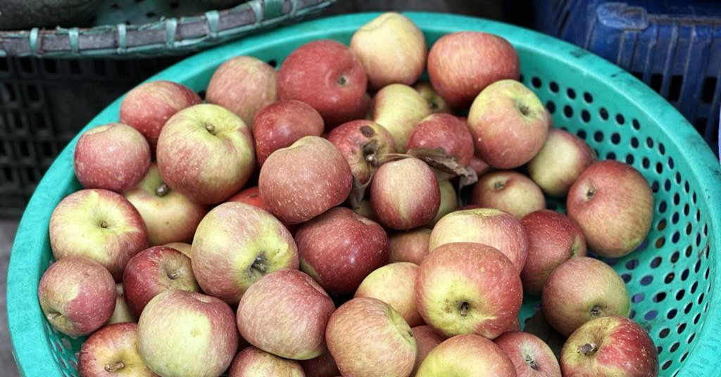 Loại quả ăn đều đặn mỗi ngày ngừa 8 loại ung thư