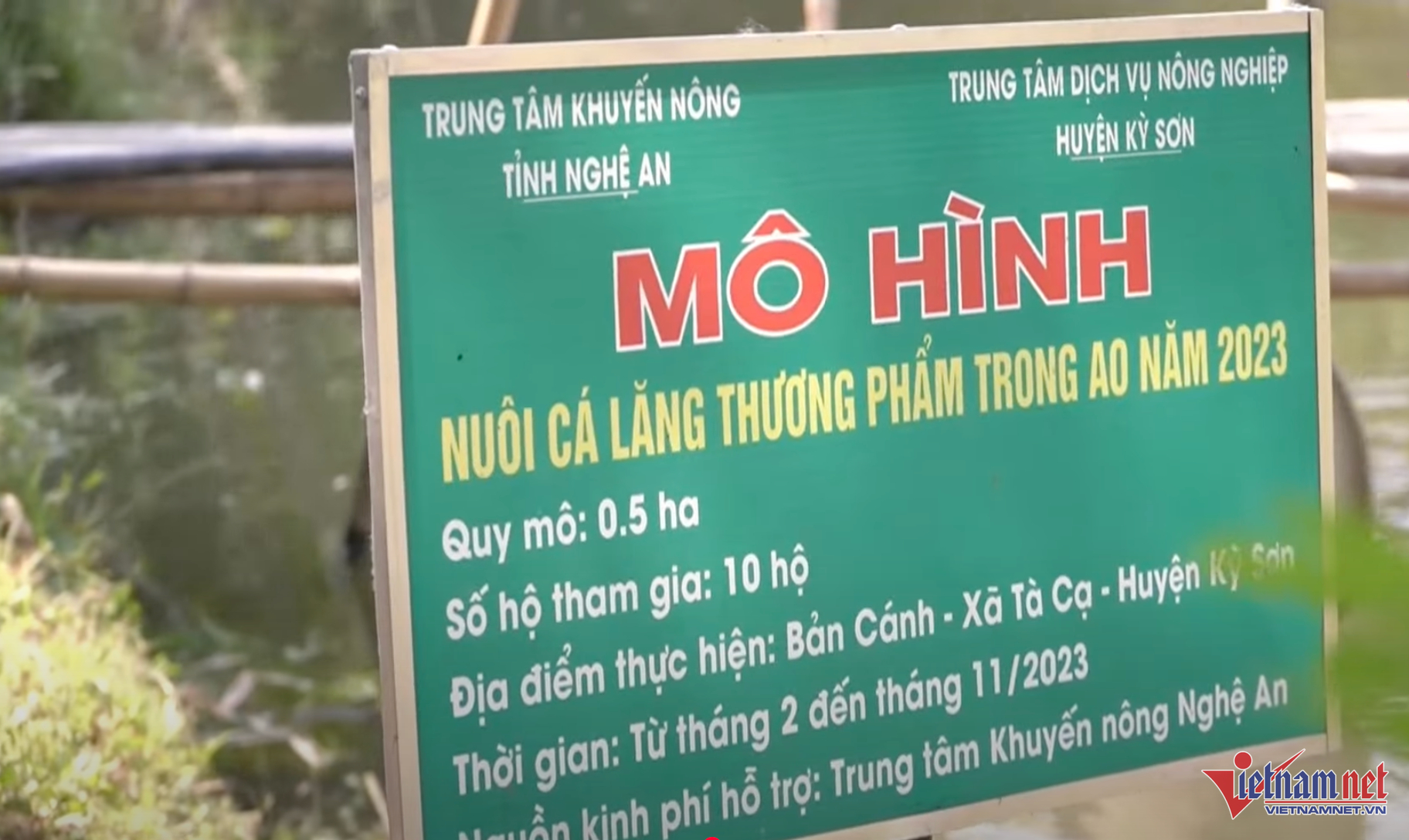 W-minhhoa.png