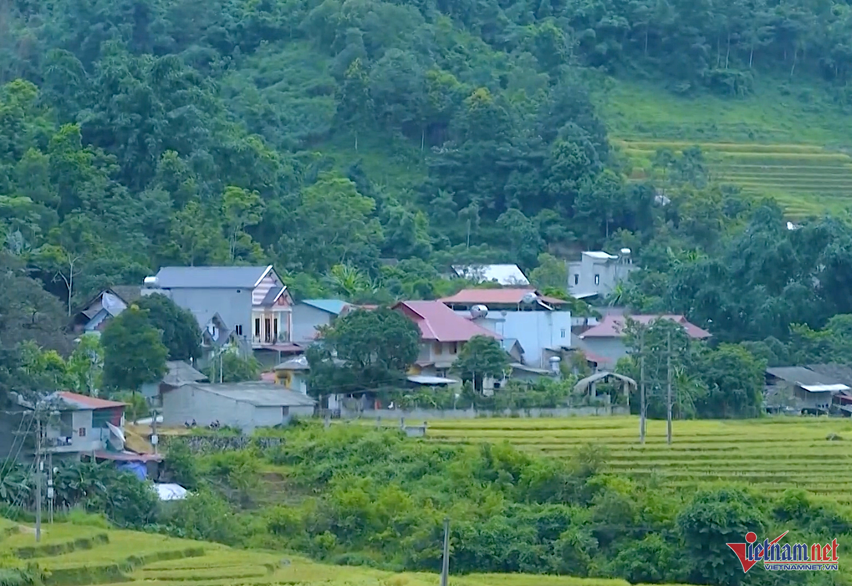 W-minhhoa.png