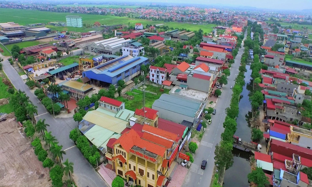 dau gia dat Nam Dinh.jpg