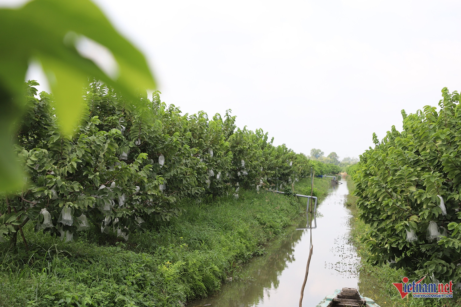 W-na thái 3.JPG.jpg