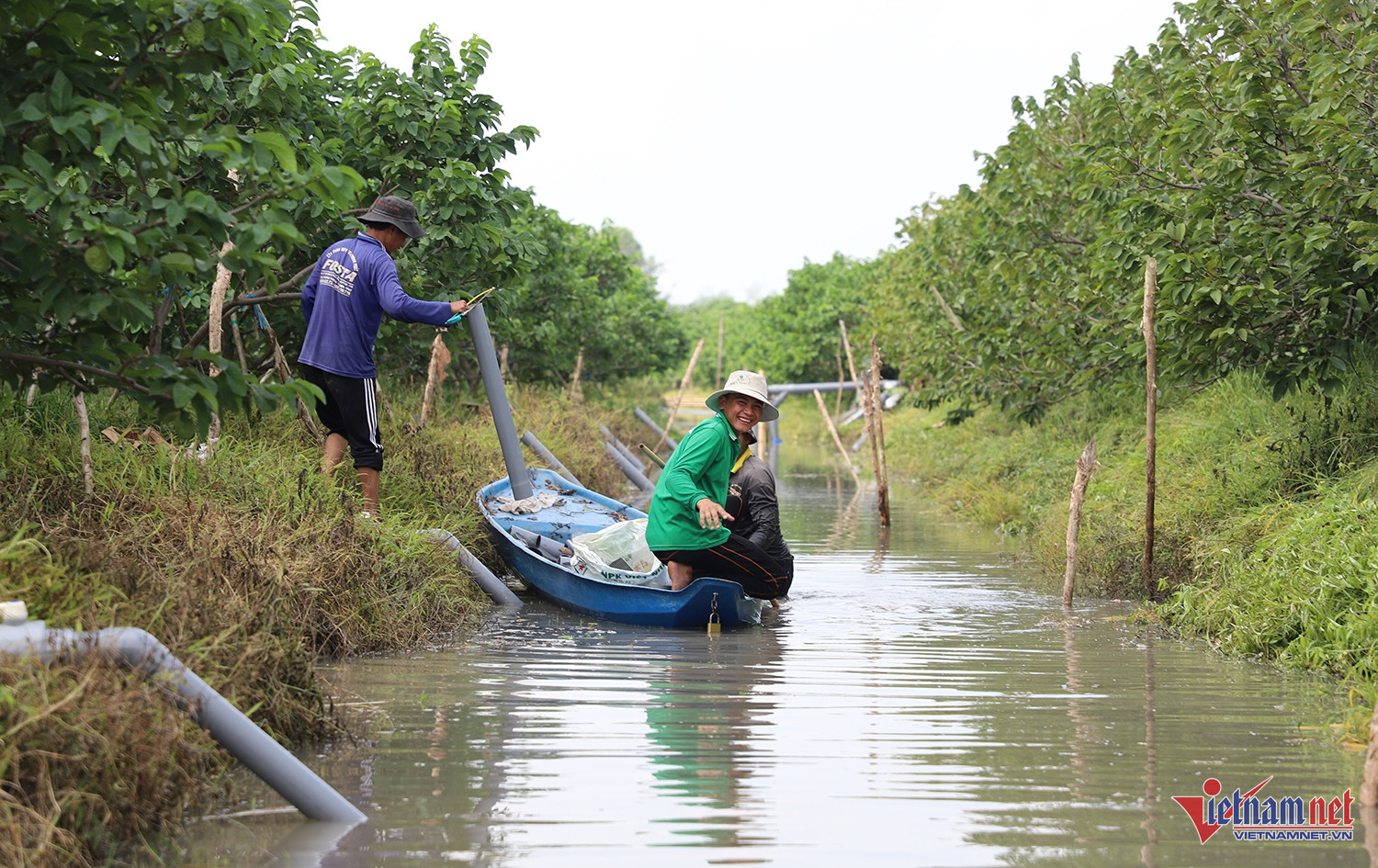 W-na thái 6.JPG.jpg